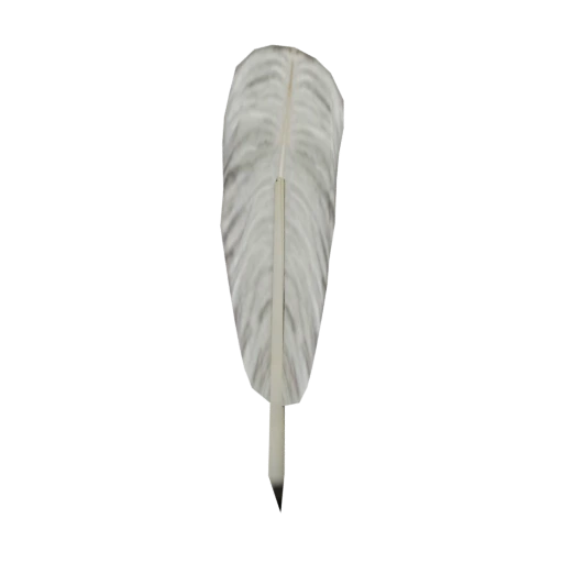 RPObject_Quill