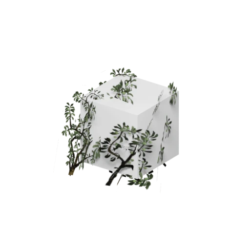 Shrub Prop