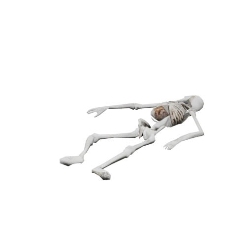 Skeleton Prop
