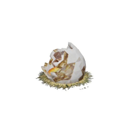 Broken Mid Dragon Egg