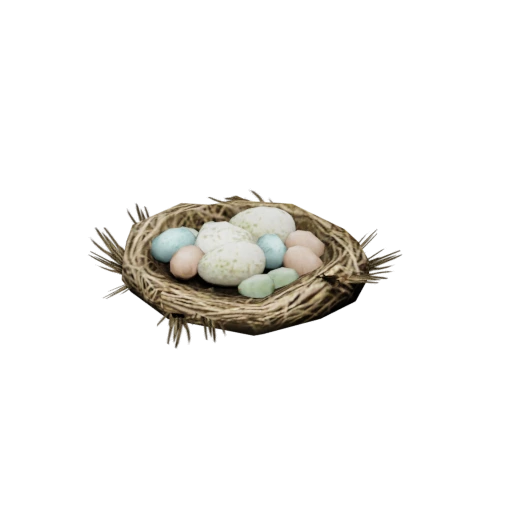 Spring_NestEgg