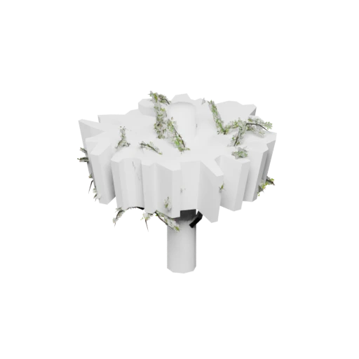Spring_TreeWhite