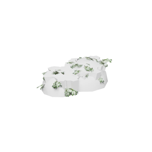 Spring_ShrubWhite
