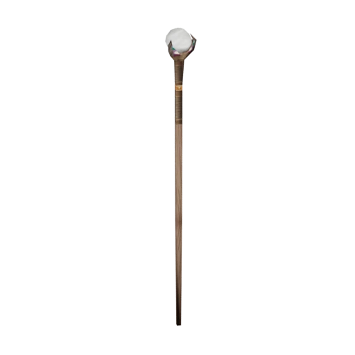Albion Mage Staff 01
