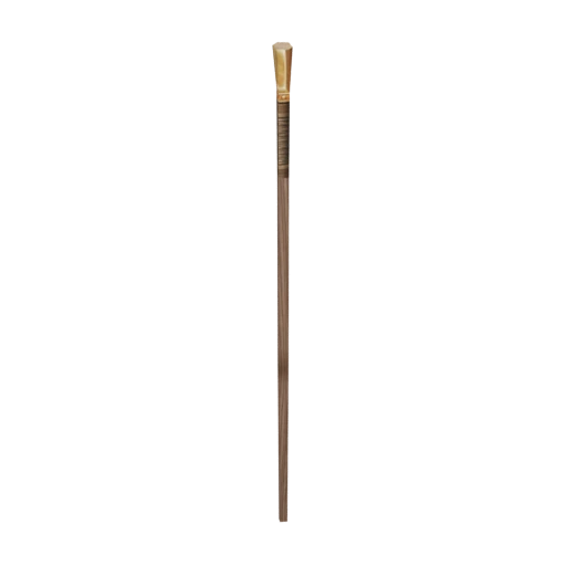 Hib Staff 09