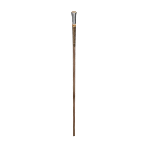 Hib Staff 10