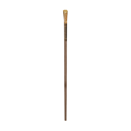 Hib Staff 11